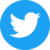 2018_social_media_popular_app_logo_twitter-128